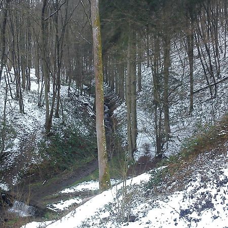 Arduena - Het Ardennetje Villa Blaimont Kültér fotó