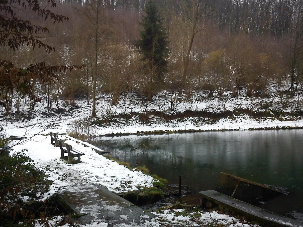 Arduena - Het Ardennetje Villa Blaimont Kültér fotó